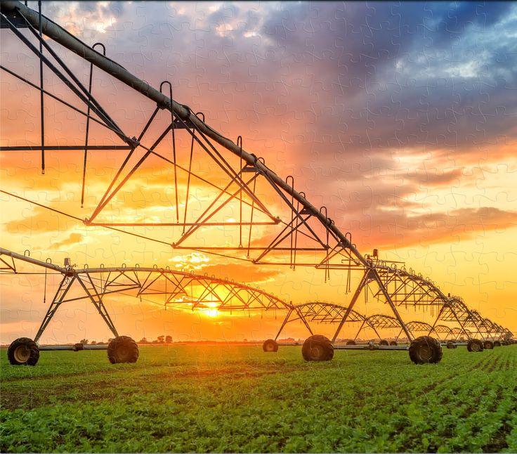 Water Treatment and Irrigation Network